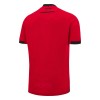 Camiseta de fútbol Albania Primera Equipación 2024-25 - Hombre